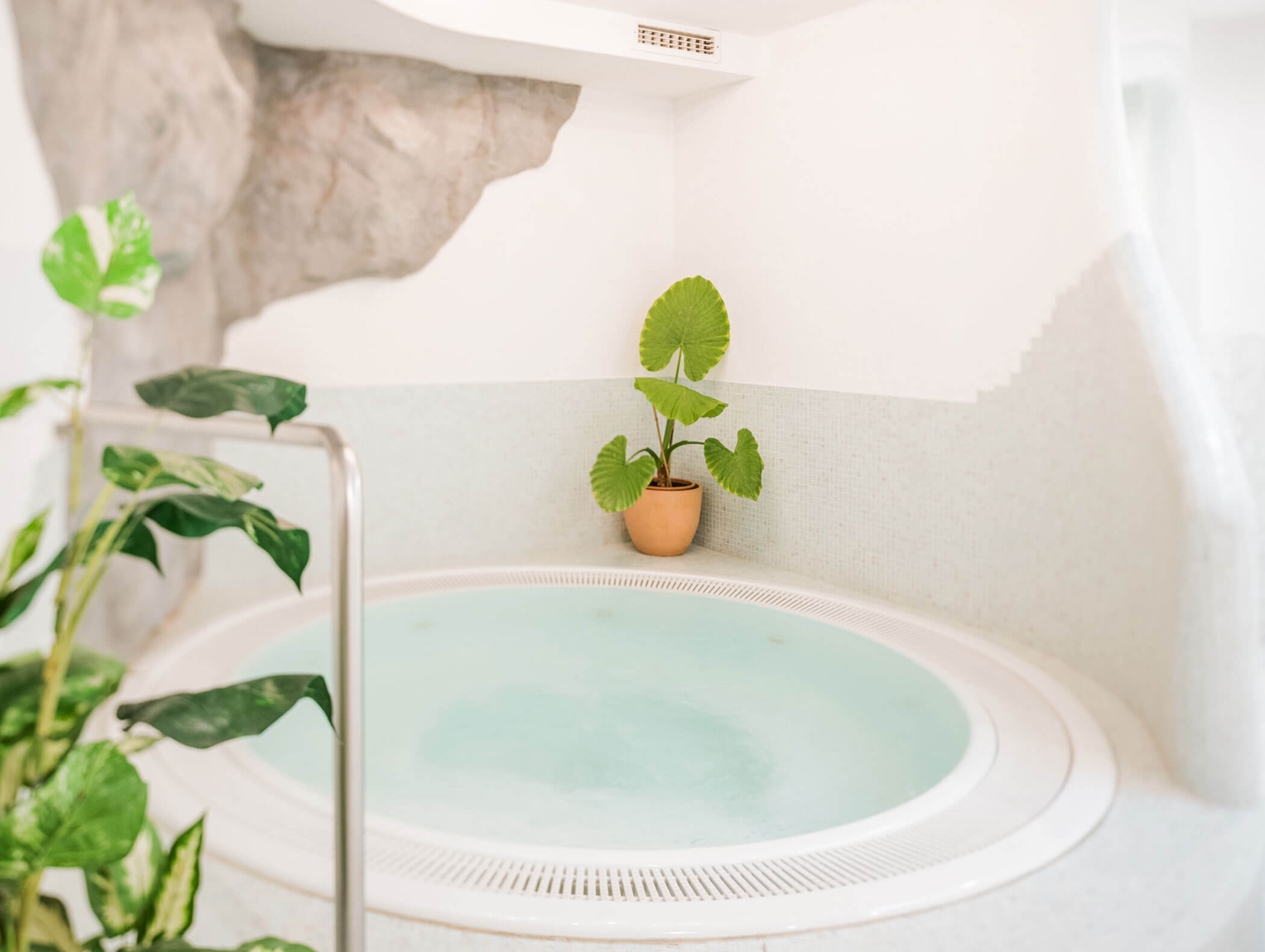 Whirlpool in the spa area with a plant in the background - Wirtshaushotel Alpenrose