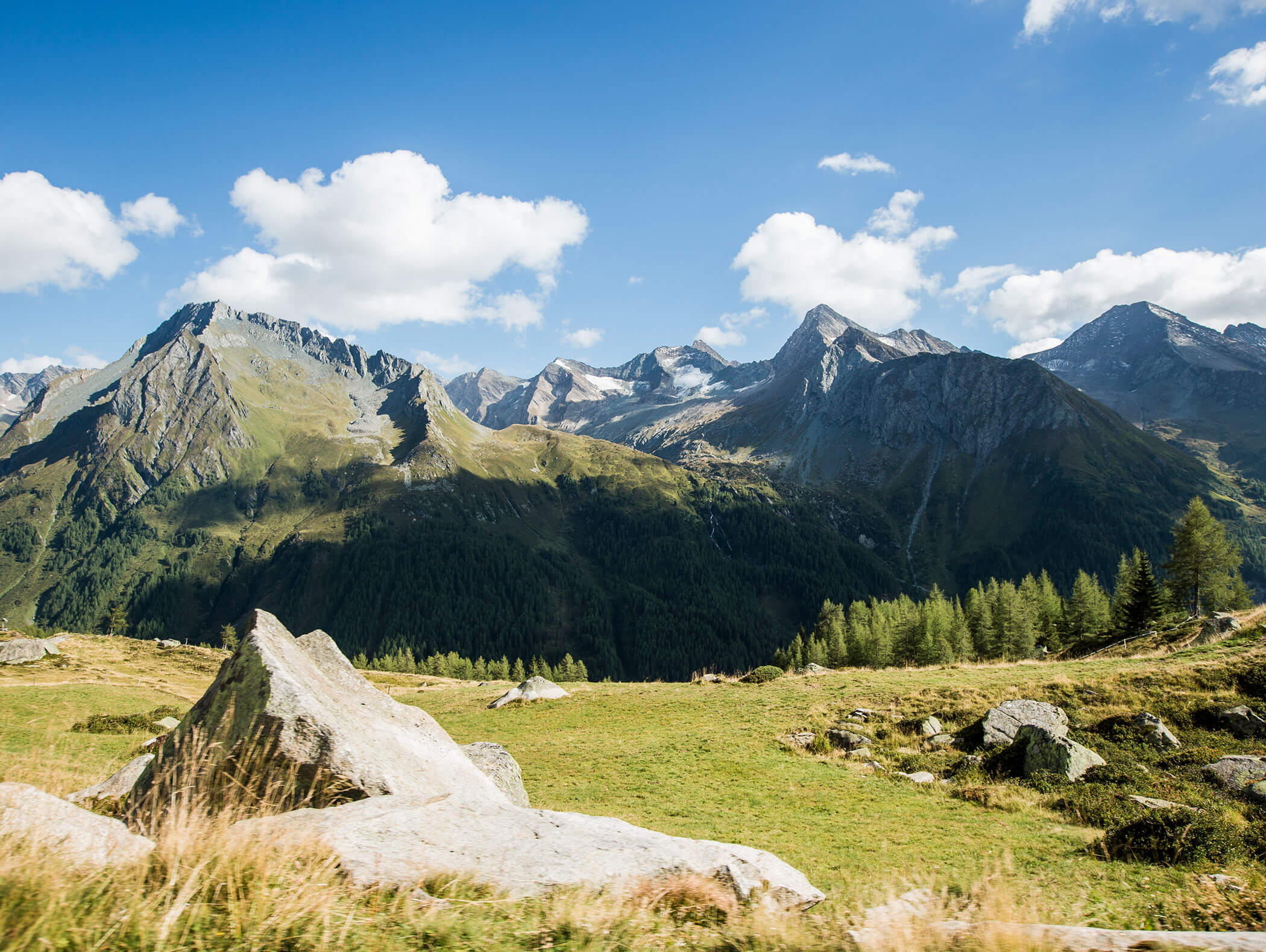 Mountain landscape in summer with blue sky and green meadow in the foreground - Wirtshaushotel Alpenrose
